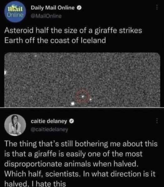 I fear vertically is the only true “half” of a giraffe. But that’s just weird… - meme