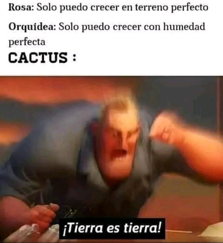 Son titulo - meme