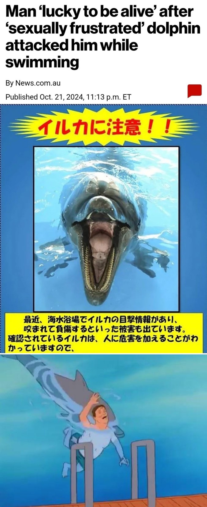 Dolphins are Dirty Birds - meme