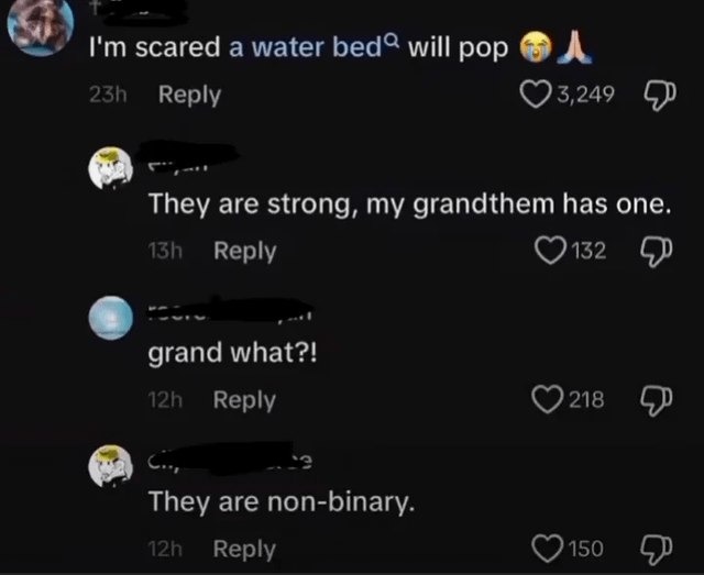 Water beds are apparently too strong for non-binary grandparents - meme