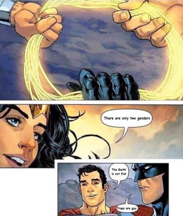 lasso of truth - meme