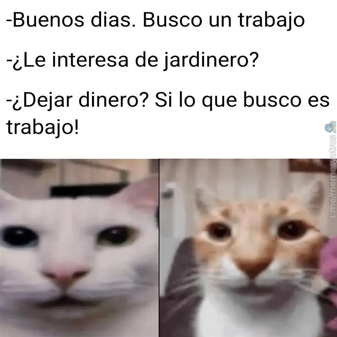 Buscando trabajo y terminás endeudado - meme