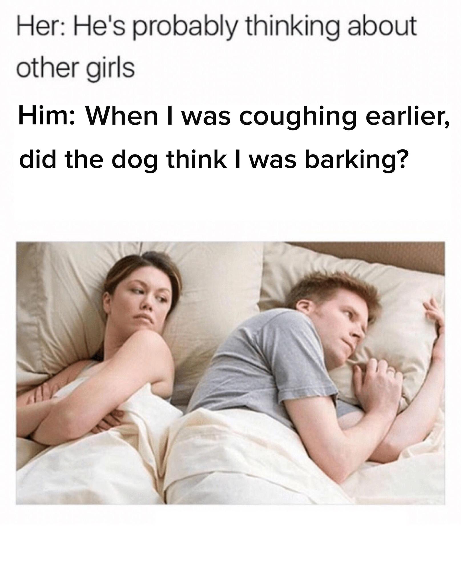 What do dogs think when they see us coughing? - meme