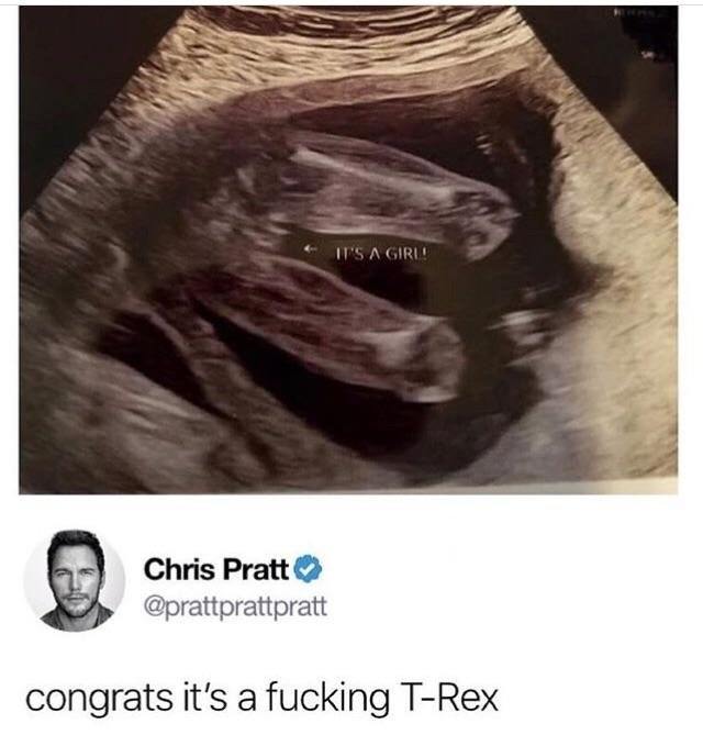 Congrats it's a T-Rex - meme