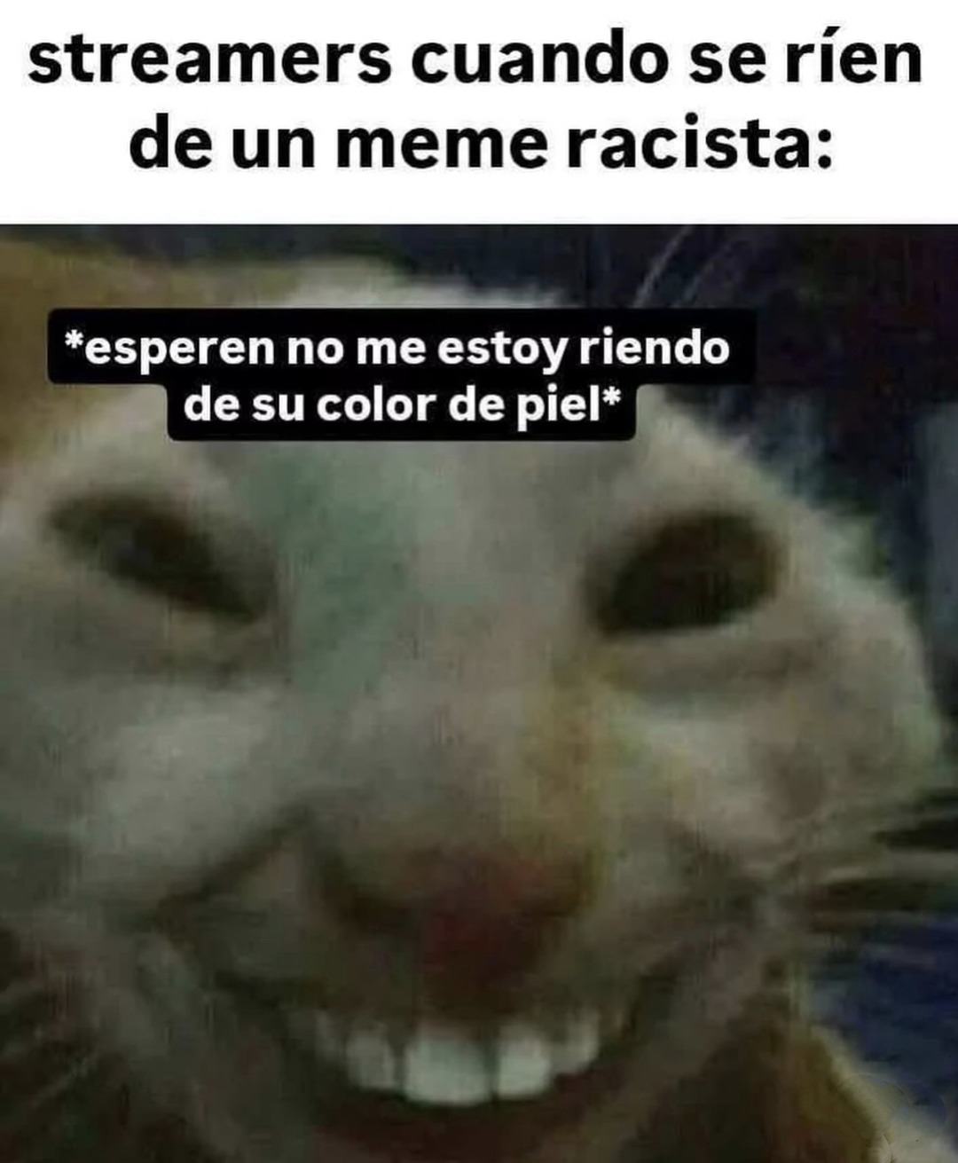 Streamers cuando se ríen de un meme racista pero intentan salvarse