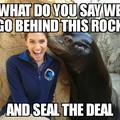 Attaboy, sea lion