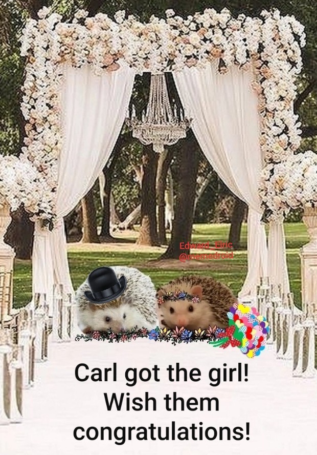 Flower and Carl's wedding ♡ - meme