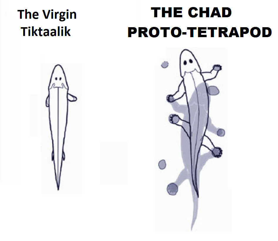 the chad ichtyostega - meme