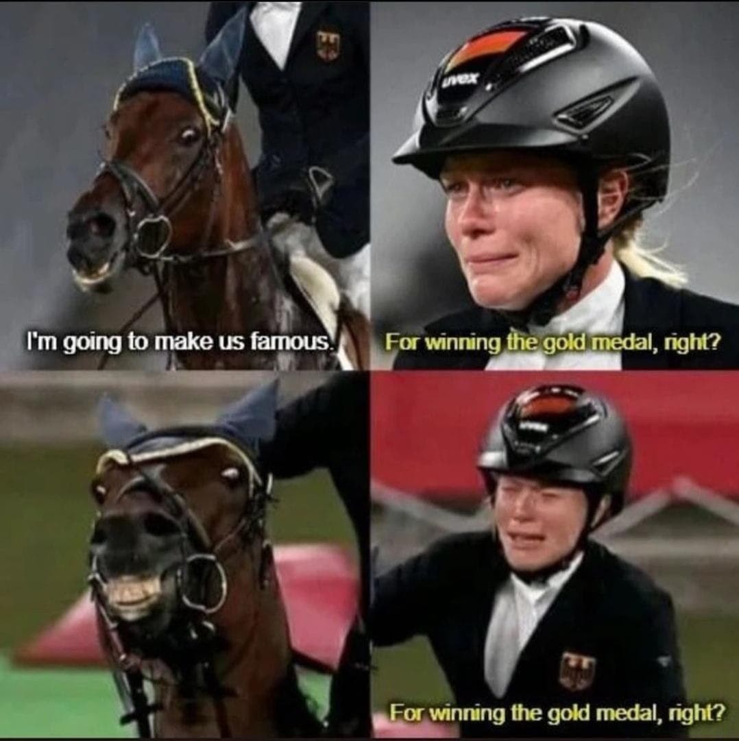 dongs in a horse - meme