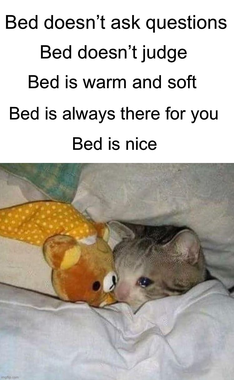 bed is nice - meme