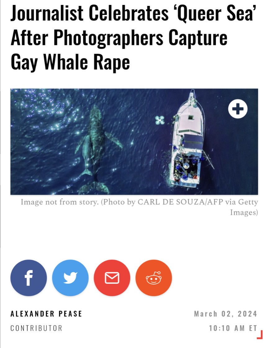 Shouldn't be surprised to discover lesbian whales - meme