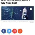 Shouldn't be surprised to discover lesbian whales