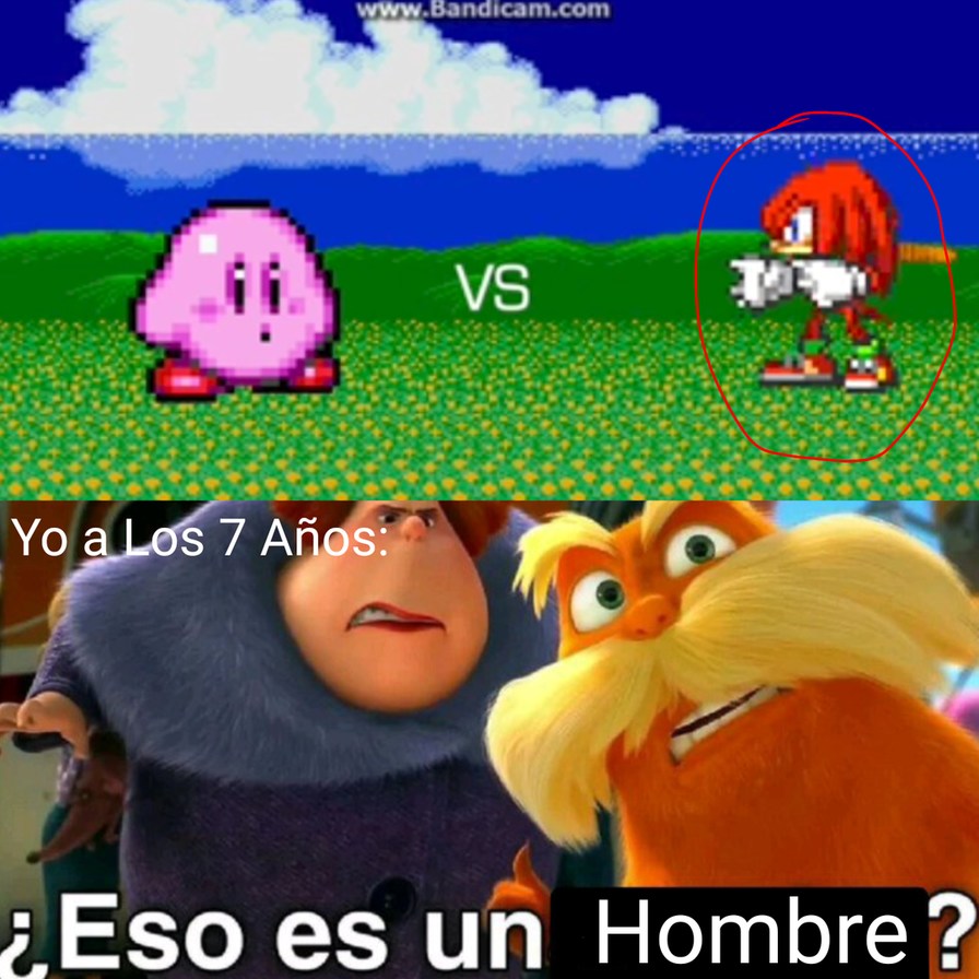Ignoren El Kirby, Ya Qué Yo Usaba a Mario o Sonic (Y Yo Crei Que Knuckles Era Mujer) - meme
