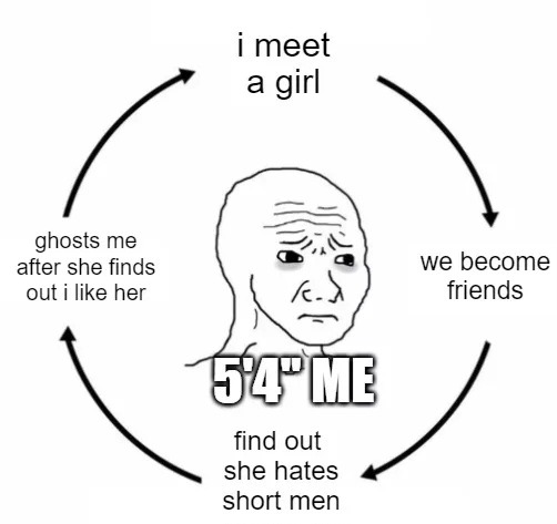 dongs in a repost - meme