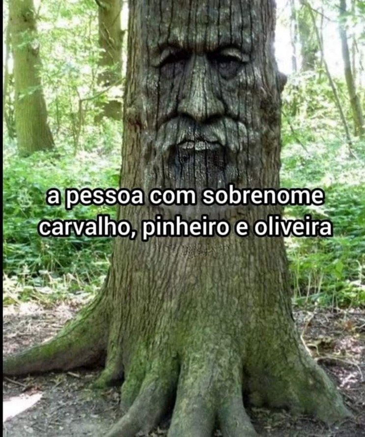 Literalmente eu - meme