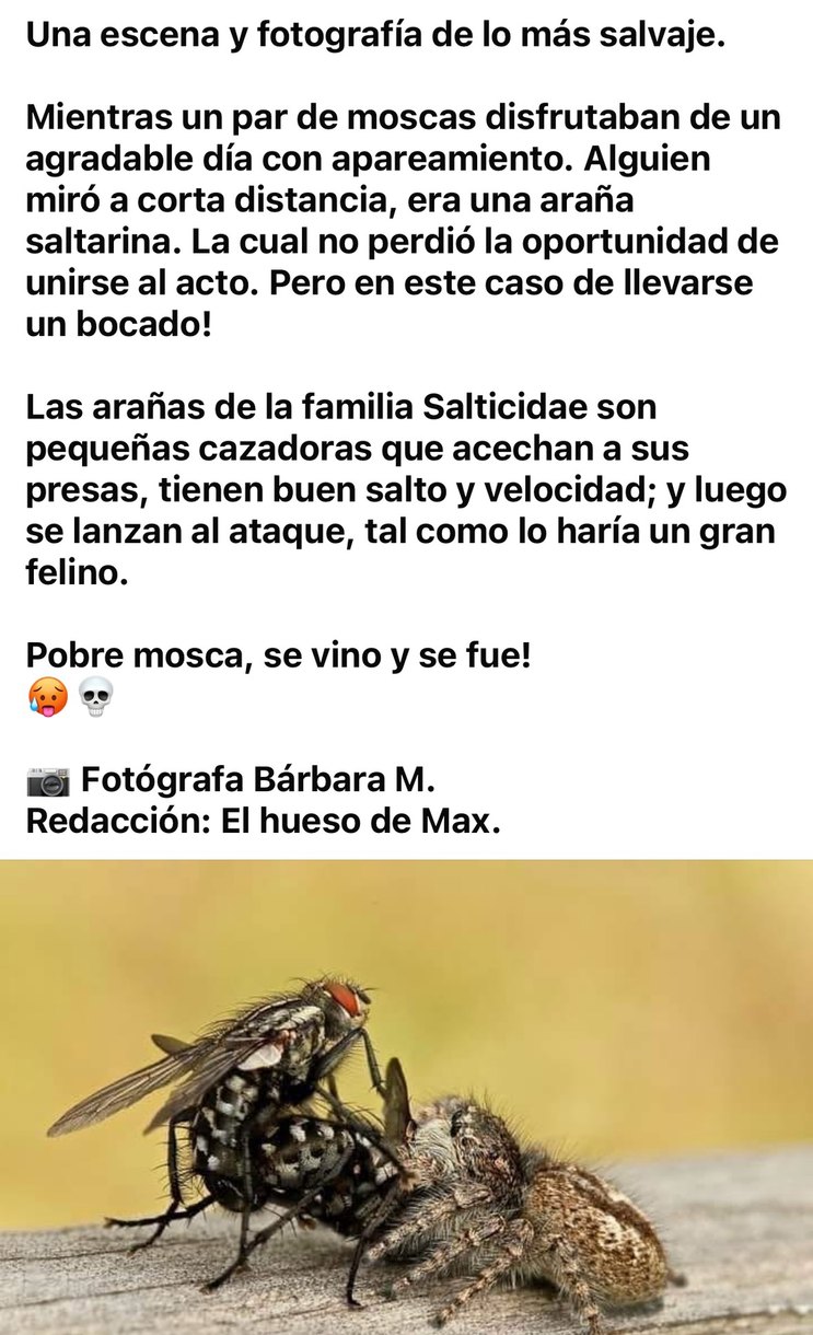 La información menos random de Facebook - meme