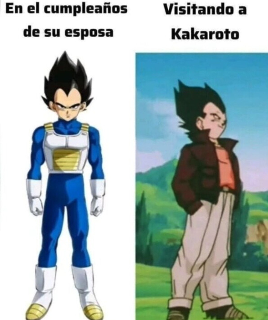 Visita romántica al cementerio en el cumple de su esposa. Kakaroto sabe - meme
