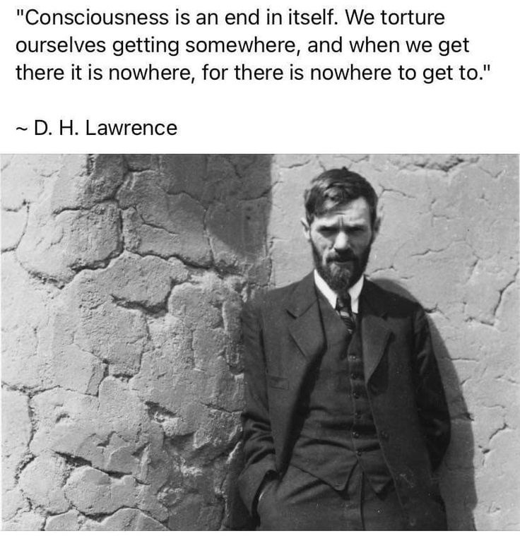 Consciousness be like: all this effort and nowhere to go - meme