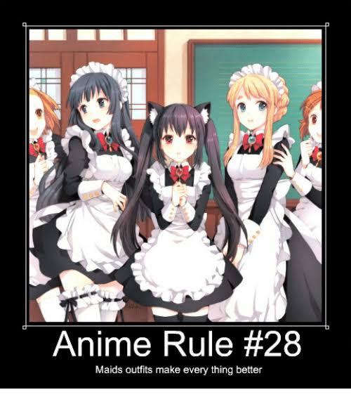 Rule 28 - meme