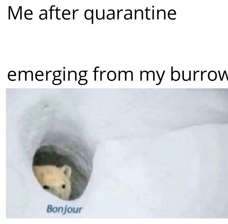 Quarantine - meme