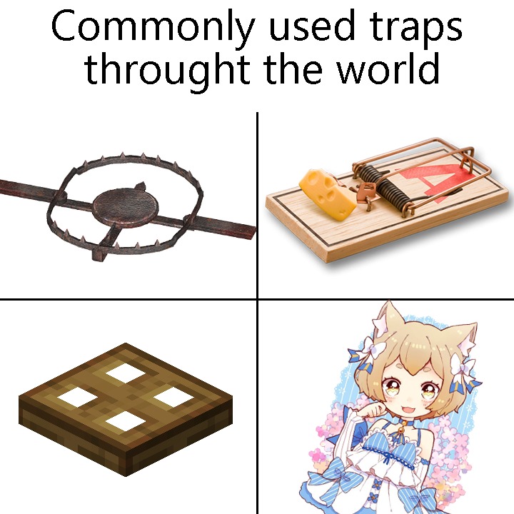 What kind of trap do you use? - meme