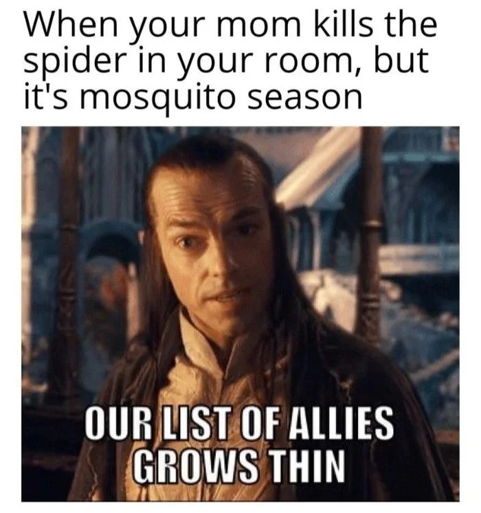 Mosquito season - meme