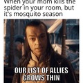 Mosquito season