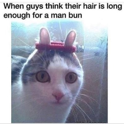 Man hair - meme