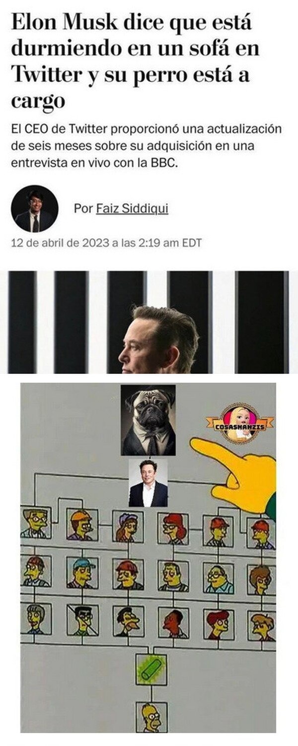 Meme de Elon Musk y Twitter