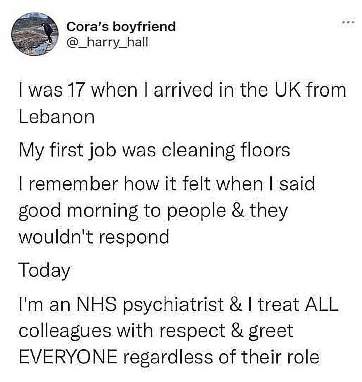 Went from ignored janitor to NHS psychiatrist. Respect the grind - meme