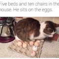 commented item thumbnail