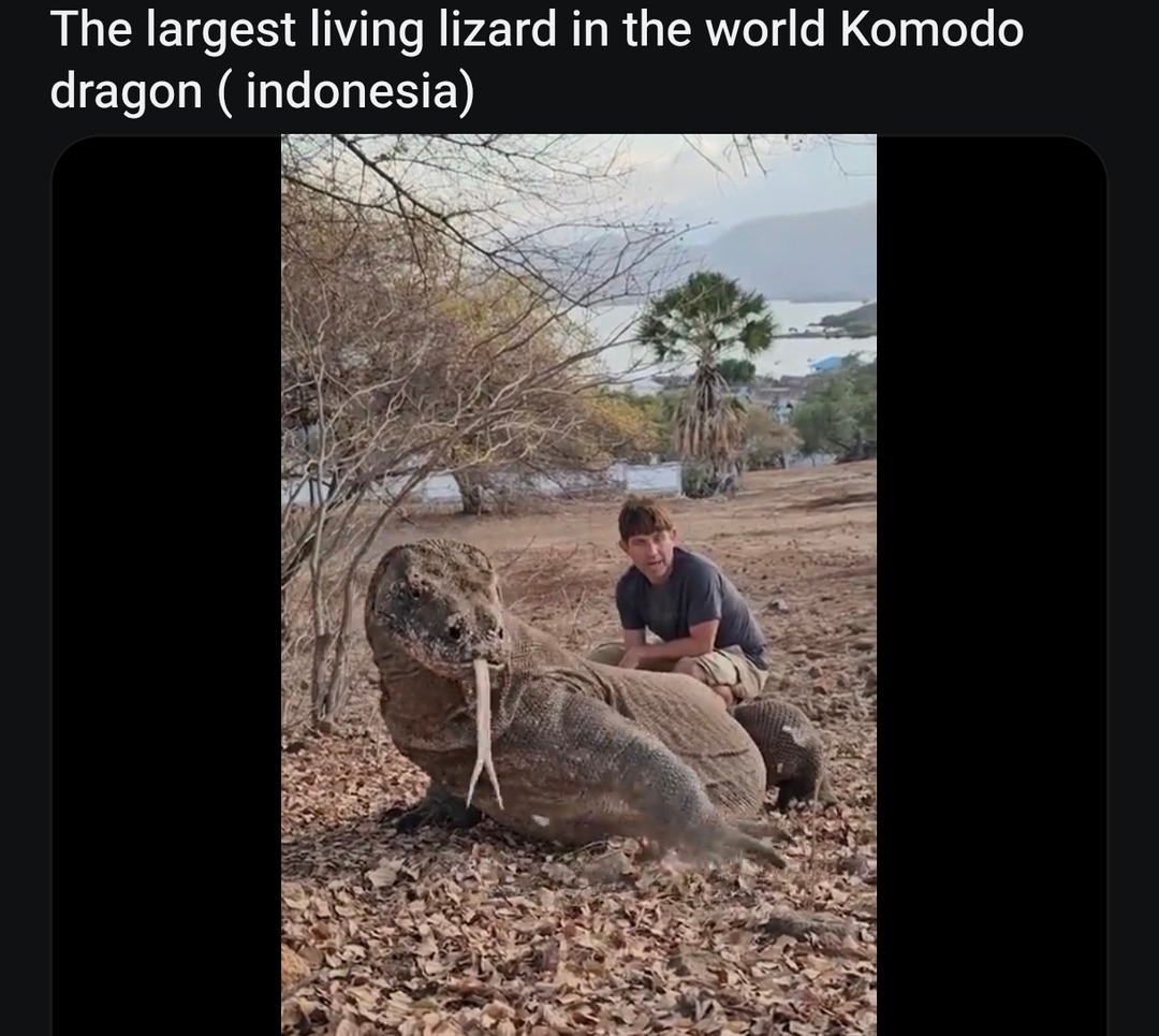 Post by @Indonesia.meme.id | Memes, image size:1080x965