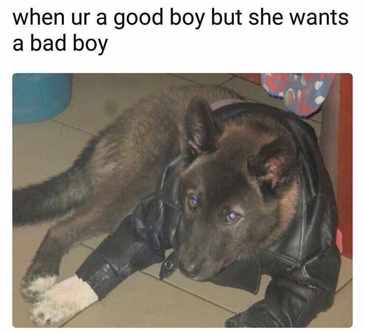 The good bad boy - meme
