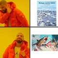 Mejor forma de aprender biología marina