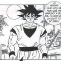 Goku z