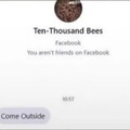 10k bees