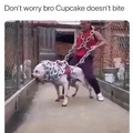 Cupcake is a hugger