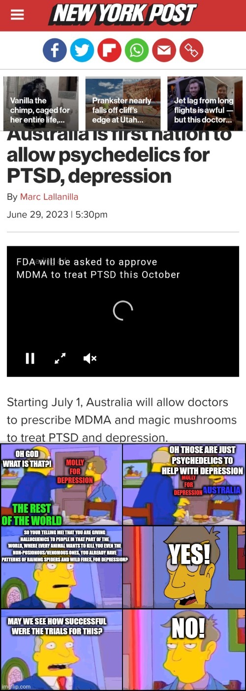 So Molly is now legal for depression in Australia - meme