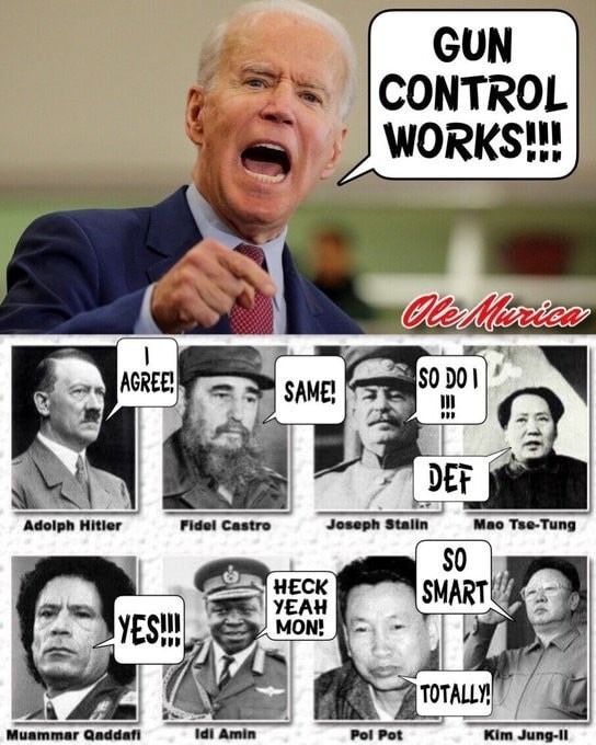 Leftists love gun control.  Easier to murder a disarmed population. - meme