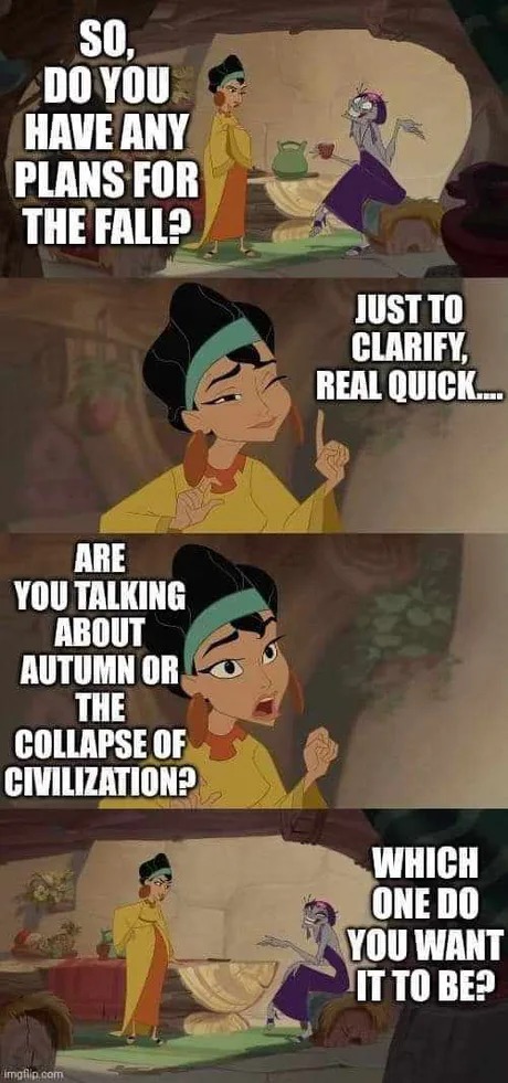 Plans for the Fall - meme
