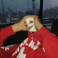 commented item thumbnail