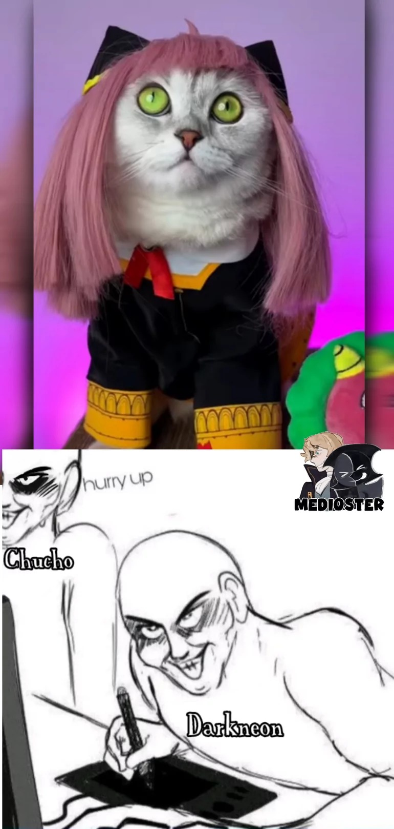 Se acuerdan de ese loliconero y gatofilico? - meme