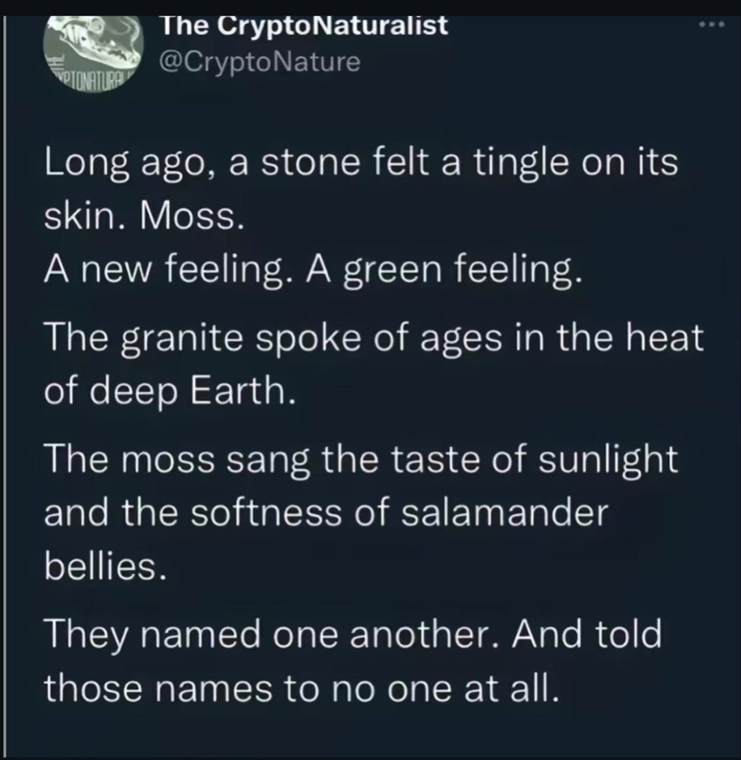 Stone met moss, felt green, shared no names - meme
