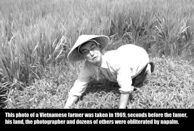 WELCOME TO THE RICE FIELDS - meme