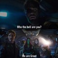 We are all groot