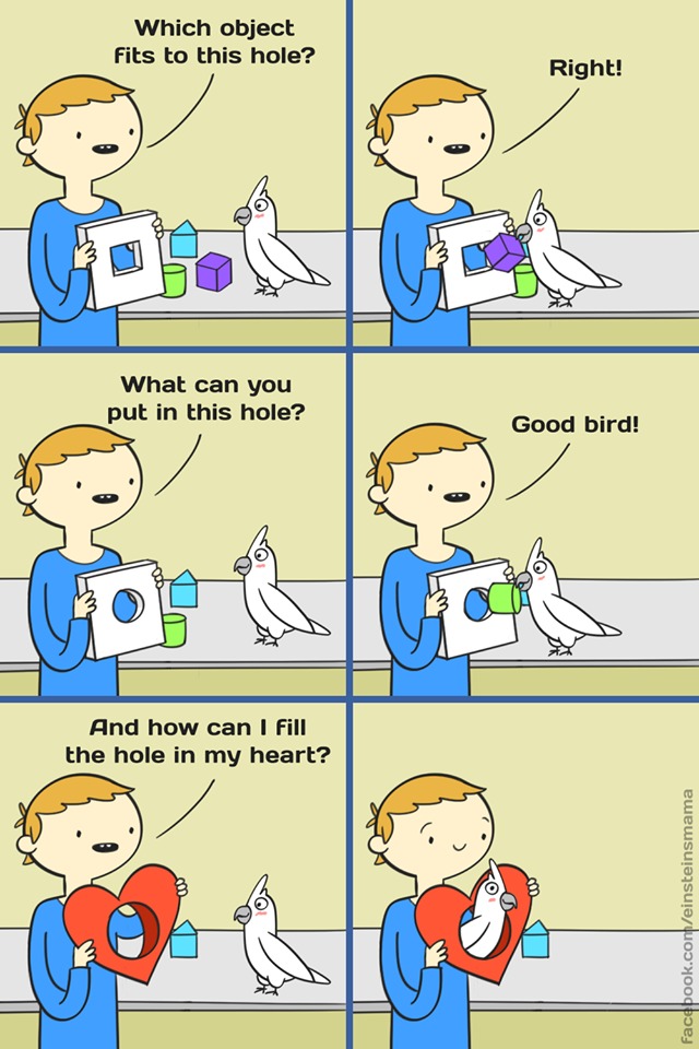 Obviously the answer is more bird - meme