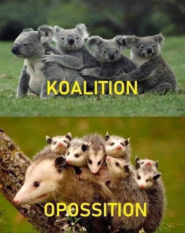 Coalition and Opposition - meme
