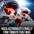 How tf do you lose a tomato in space
