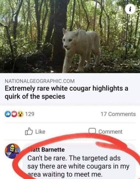 White Cougar - meme