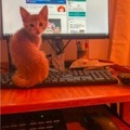 commented item thumbnail